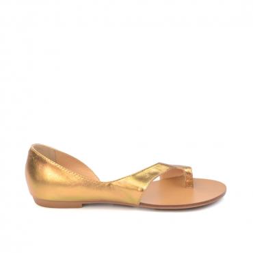 RASTEIRA ASSIMÉTRICA - Código 1488-2-32